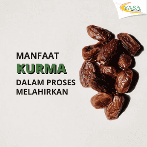 Buah Kurma dan Manfaatnya