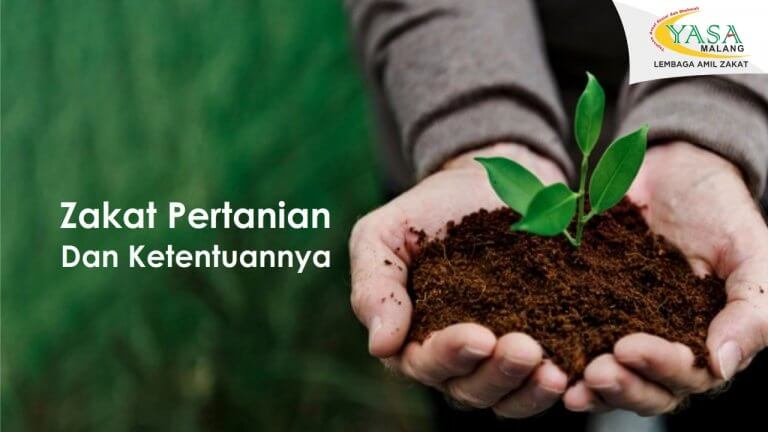 pertanian