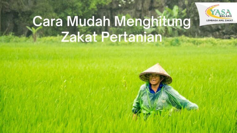 Cara Menghitung Zakat Pertanian