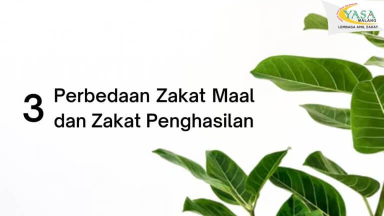 Perbedaan Zakat Maal dan Zakat Penghasilan