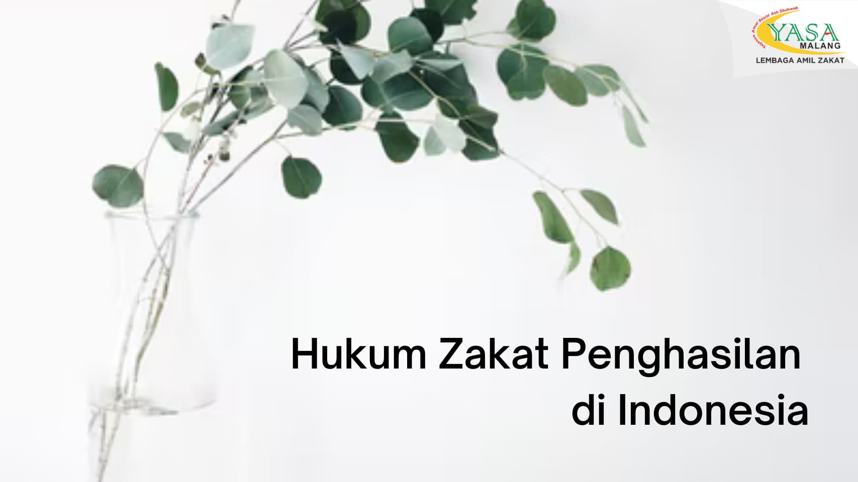 Hukum Zakat Penghasilan di Indonesia