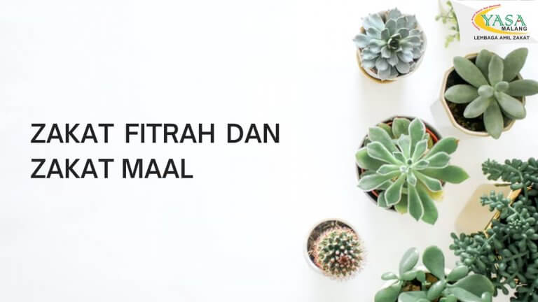 Zakat Fitrah dan zakat maal