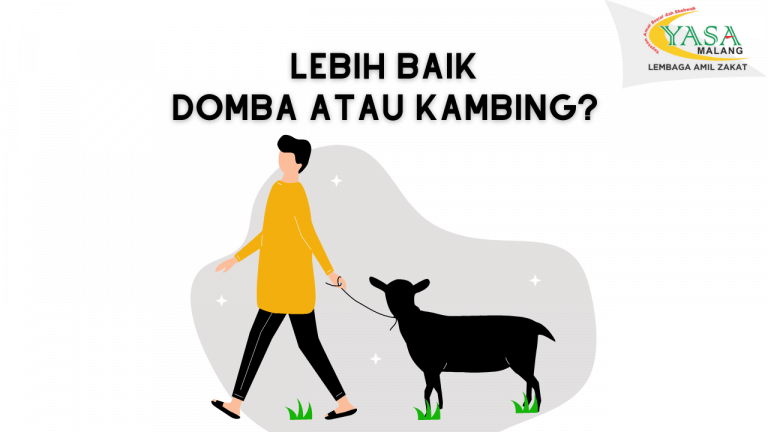 kambing atau domba