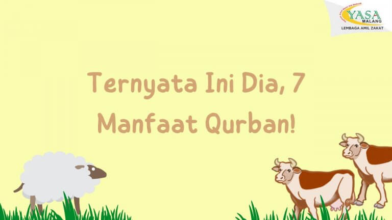Ternyata Ini Dia, 7 Manfaat Qurban!
