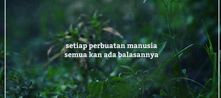 BUAT