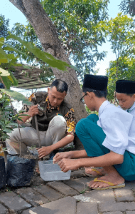 pohon 2