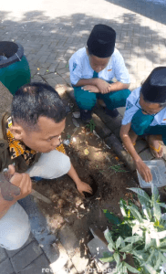 penanaman sejuta pohon