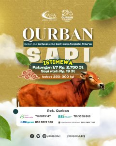 qurban patungan sapi