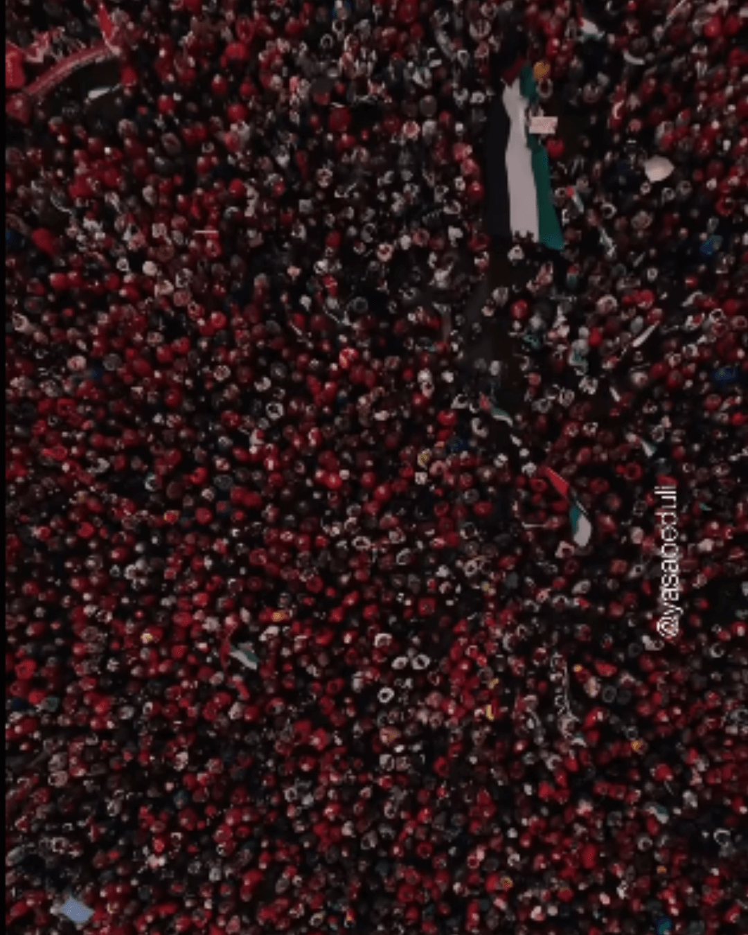 palestina